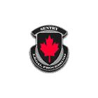 Sentry Security & Investigations Inc