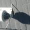 Dome-Cameras Dome-Cameras