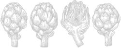 Green Artichoke Private Chef and Catering Services