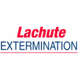 Extermination Lachute