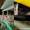 Drain-Cleaning-and-Repair