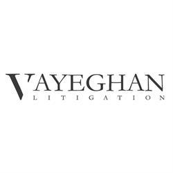 Vayeghan Litigation