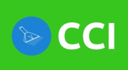 CCI Carpet Cleaning Port Coquitlam