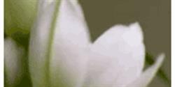 Espace Massage Yoga Marie Annick Lapointe