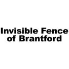Invisible Fence of Brantford