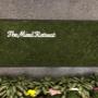 Moss wall Moss wall