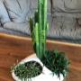 Planters Planters
