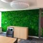 Moss wall Moss wall