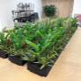 Planters Planters