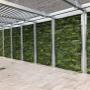 Living wall Living wall