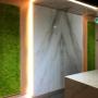 Moss wall Moss wall