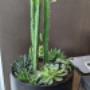 Planters Planters
