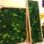 Moss wall Moss wall