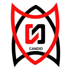 Candid Auto Parts Inc