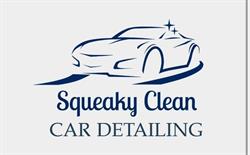 Squeaky Clean Car Detailing
