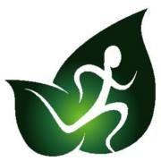 New ECO Physiotherapy