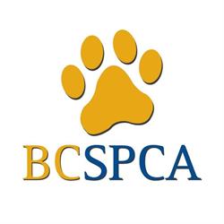 BC SPCA Sea to Sky