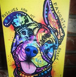 Prince George Animal Rescue
