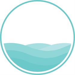 The Calm Collective Psychotherapy