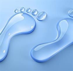 The Foot Clinic