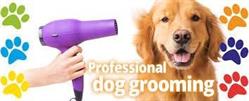 Cuts and Cuddles Dog Spa