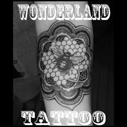 Wonderland studios