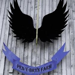 Pen-Y-Bryn Farm