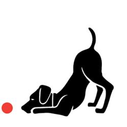 Animal Magic Pet Boutique