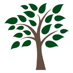 Elm Law