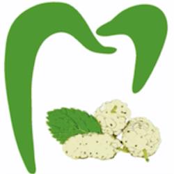 Mulberry Dental