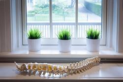 Norris Place Chiropractic