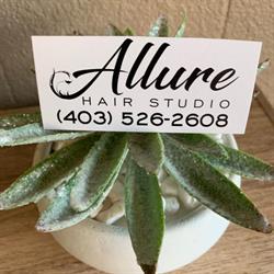 Allure Hair Studio