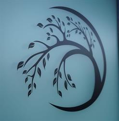 Willow Point Massage Therapy