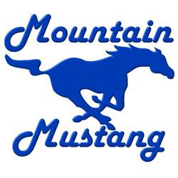 Mountain Mustang