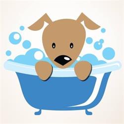 Justina's Dog Grooming