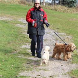 Huntsville Highlands Pet Resort