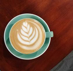 Cafe Verve Inc.