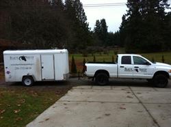 Black Sheep Painting Co