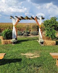 The Lavender Farm