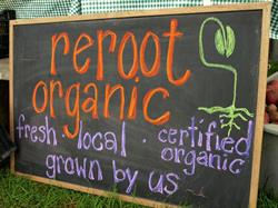 Reroot Organic Farm