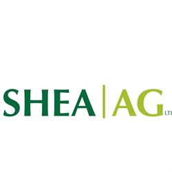 Shea AG
