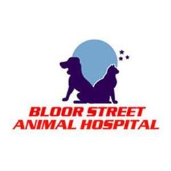 Bloor Street Animal Hospital