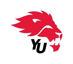 York Lions Stadium