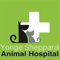Yonge Sheppard Animal Hospital