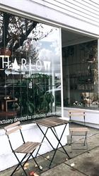 Harlow Atelier