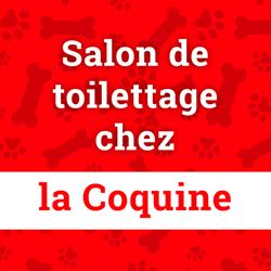 Salon de Toilettage chez la Coquine