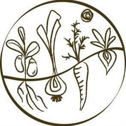 Fertile Ground Farm