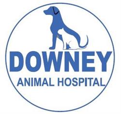 Downey Animal Hospital