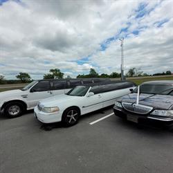 Bermuda Limousine