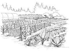 Tatlo Road Farm